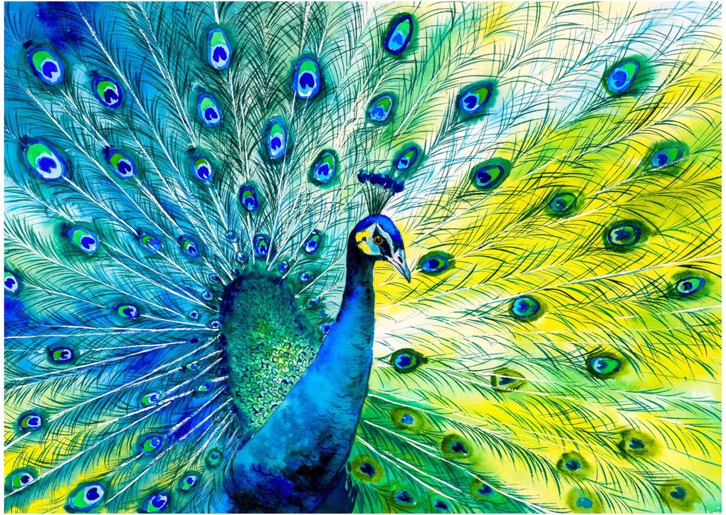 Tablou pe sticlă - Păun (70x50 cm)