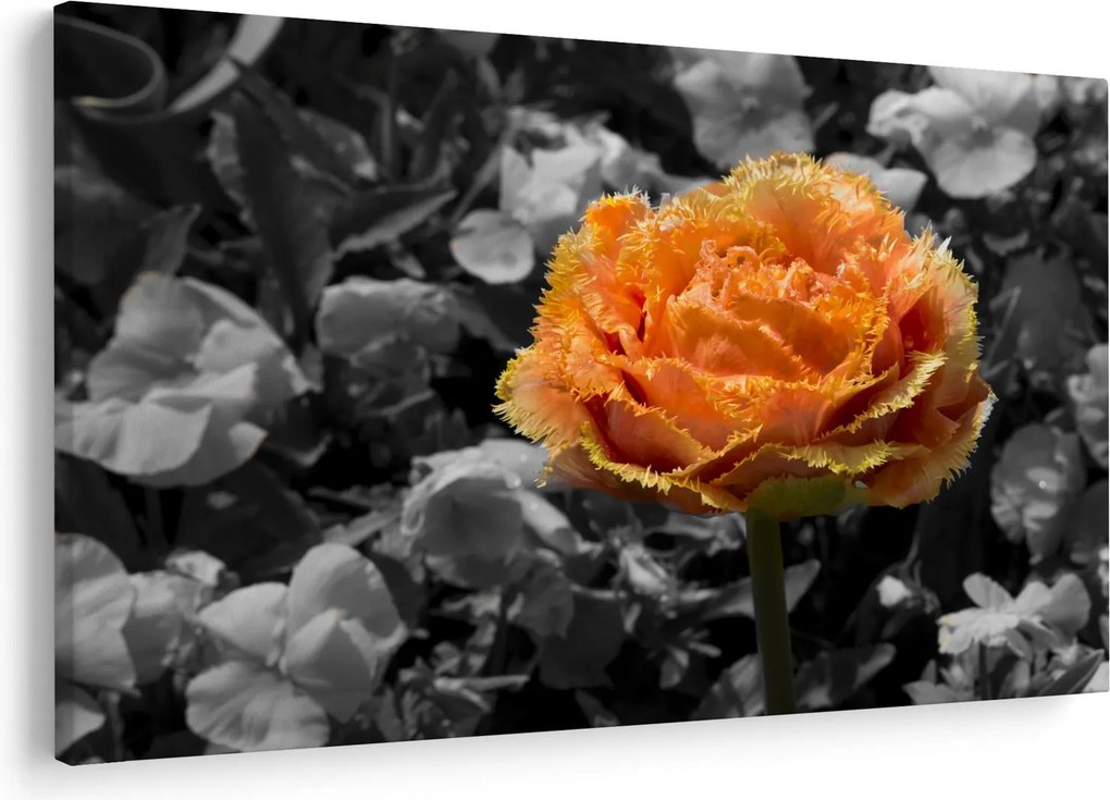 Tablou cu floare (90x60 cm)
