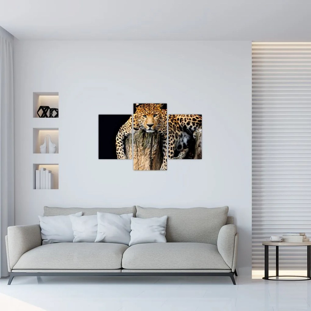 Tablou - Ghepard (90x60 cm)