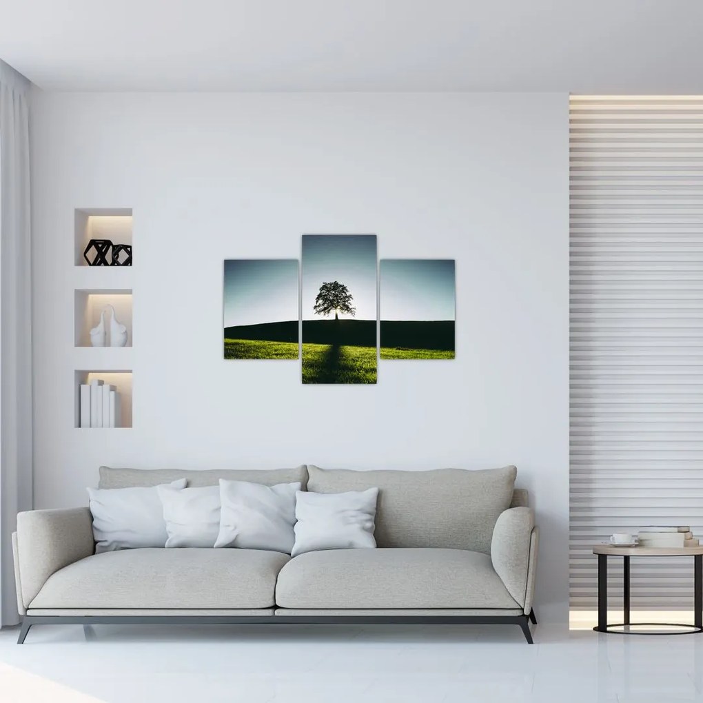 Tablou cu natura - copac (90x60 cm)