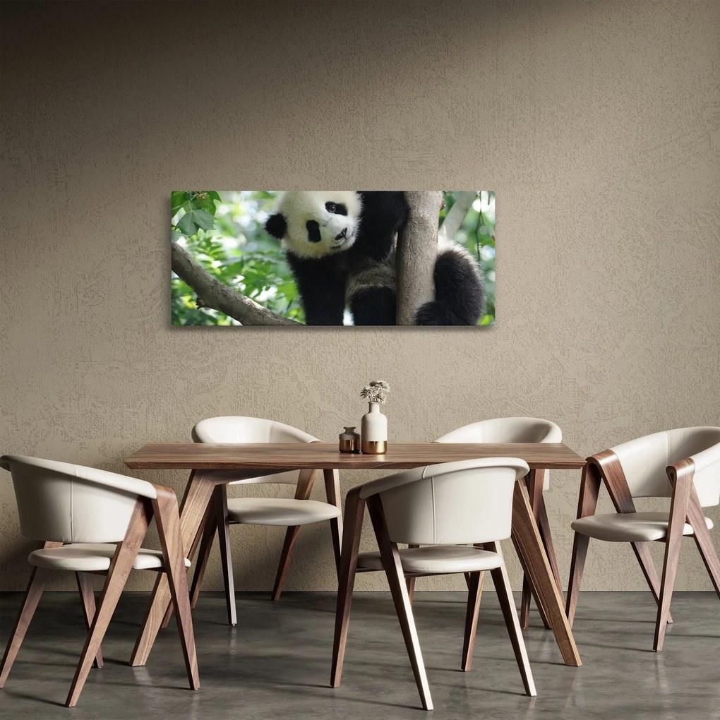 Tablou - Panda in copac (120x50 cm)