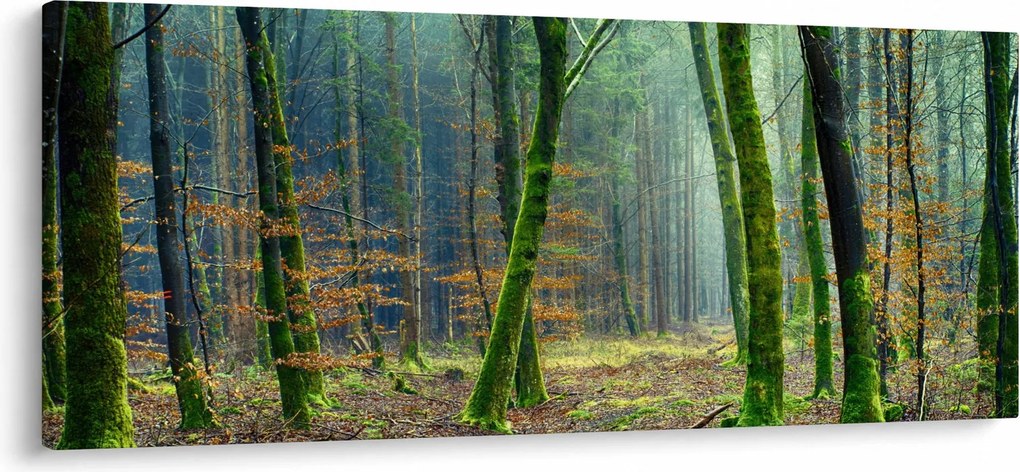 Tablou cu pădure (120x50 cm)