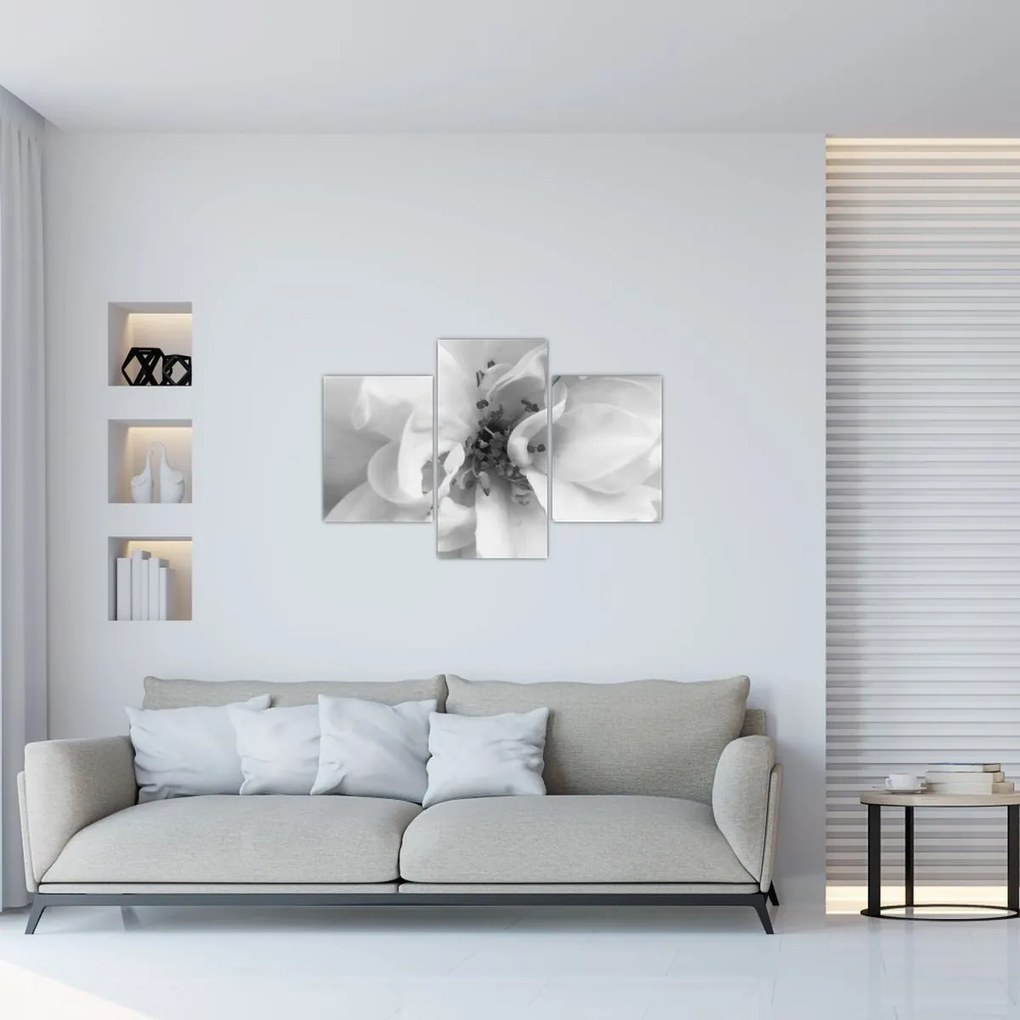 Tablou - Floare,alb-negru (90x60 cm)