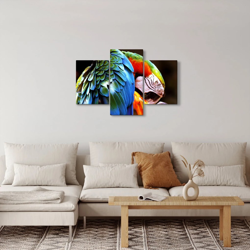 Tablou - Papagal (90x60 cm)