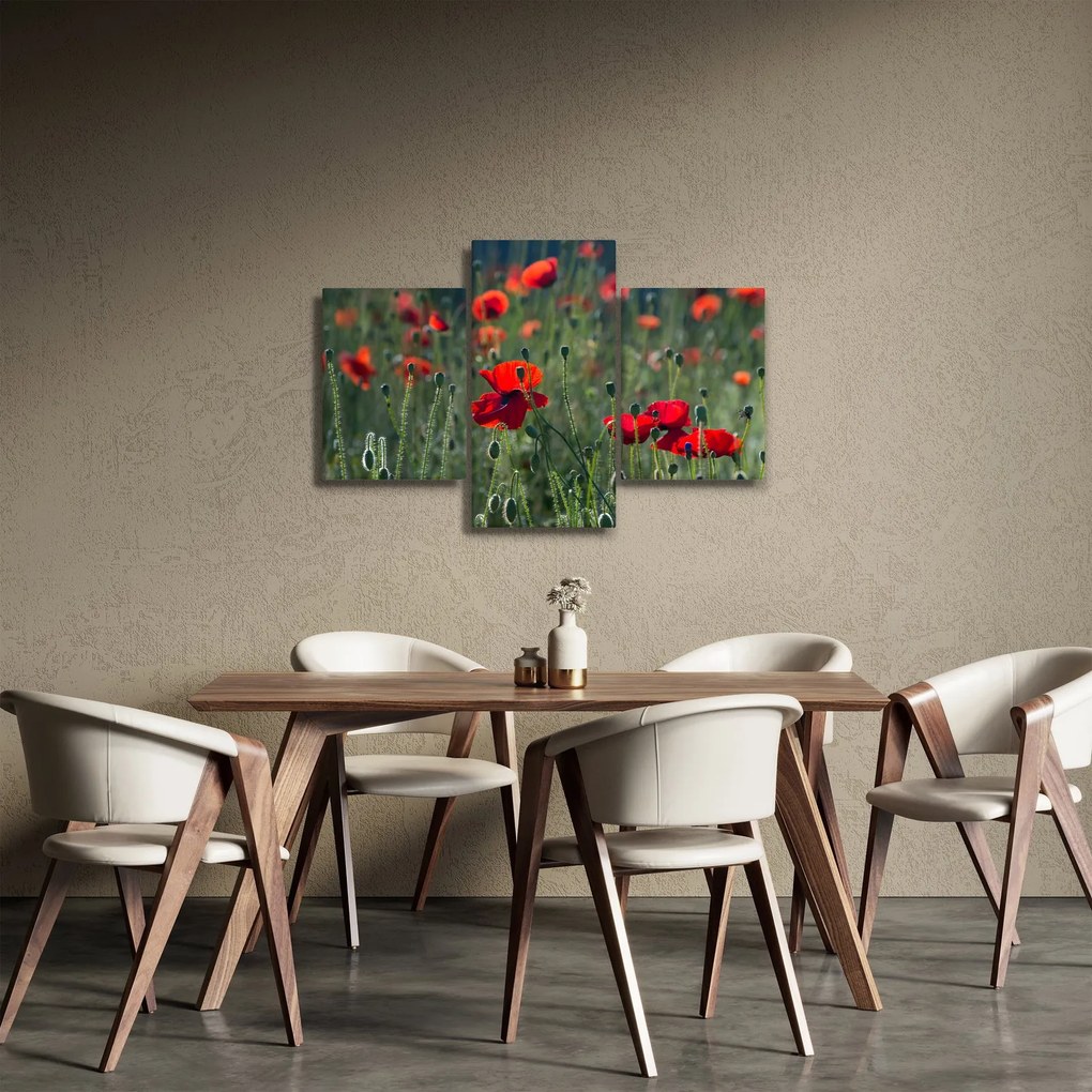 Tablou - Lunca cu maci (90x60 cm)