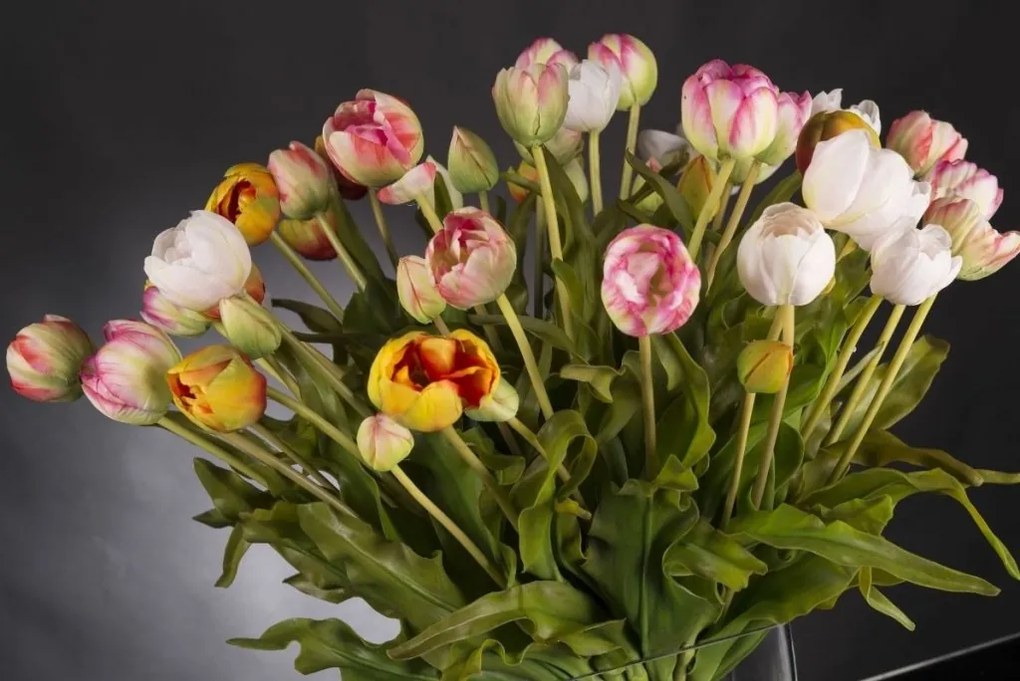 Aranjament floral deosebit, buchet superb din lalele, MIX BUNCH TULIP 1141704.33