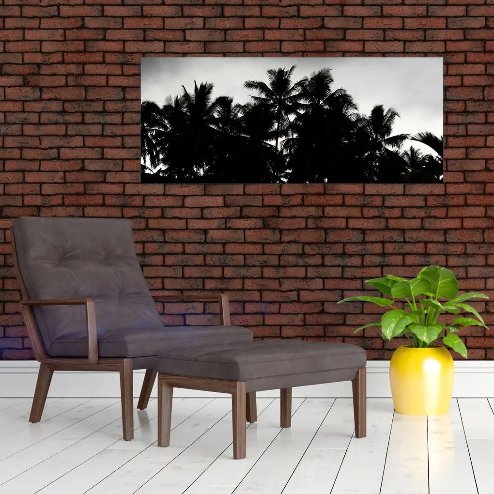 Tablou alb negru - palmieri (120x50 cm)