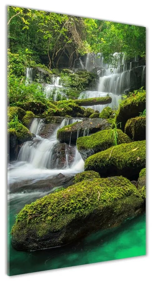 Imagine de sticlă Cascada din junglă