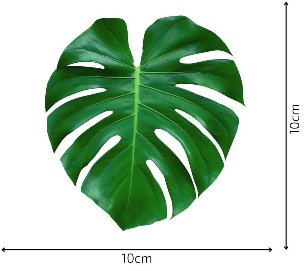PIPPER. Autocolant de perete "Frunze de Monstera 3”