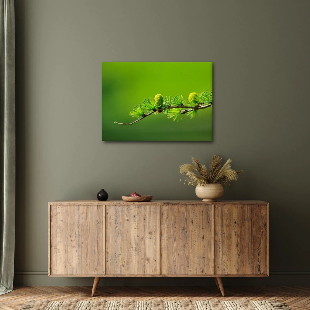 Tablou con verde (70x50 cm)