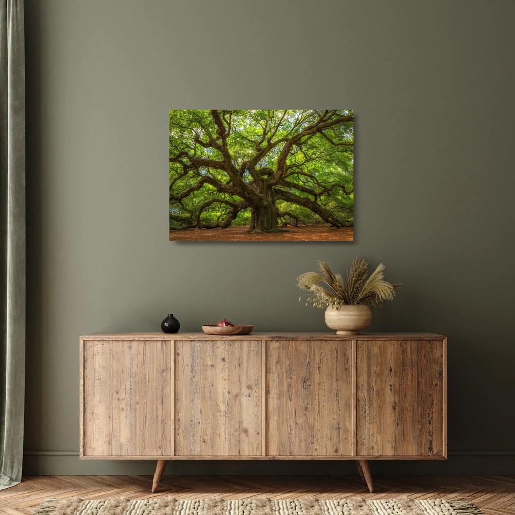 Tablou pe sticlă - Copac verde (70x50 cm)