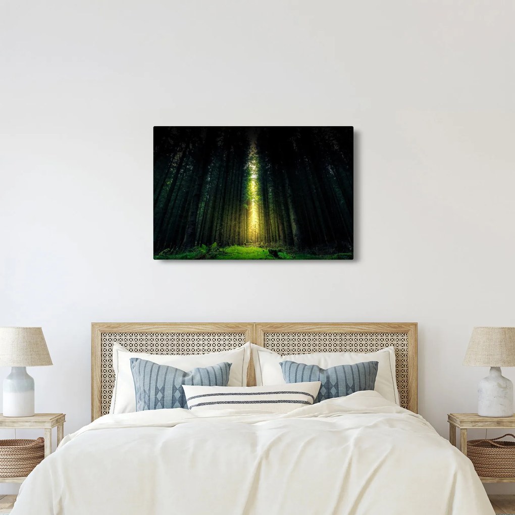 Tablou cu pădurea întunecată (90x60 cm)