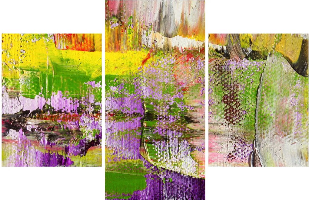 Tablou cu abstracție - pictura (90x60 cm)
