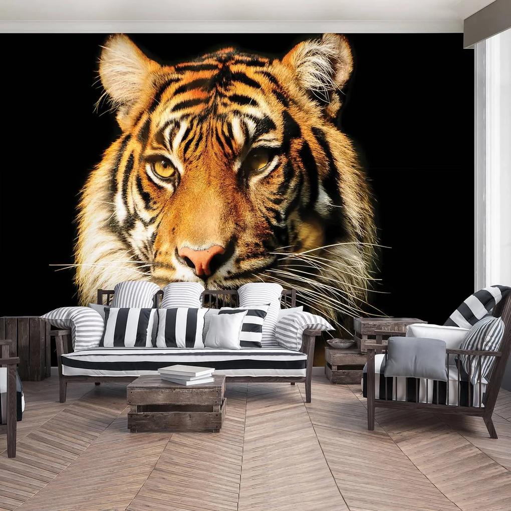 Fototapet - Tigrul maiestuos (152,5x104 cm), în 8 de alte dimensiuni noi