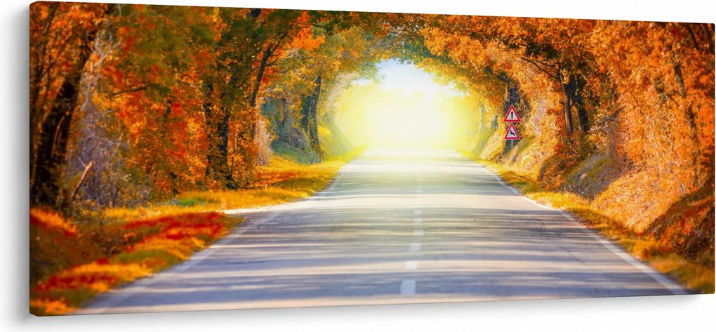 Tablou - Poarta din copaci (120x50 cm)