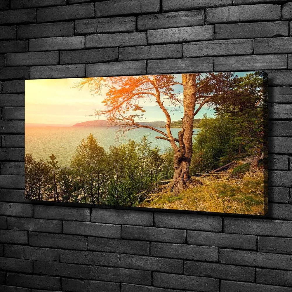 Tablou canvas Lac scandinavia