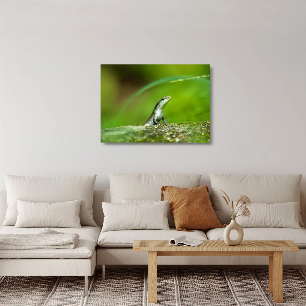 Tablou pe sticlă cu șopârlă (70x50 cm)