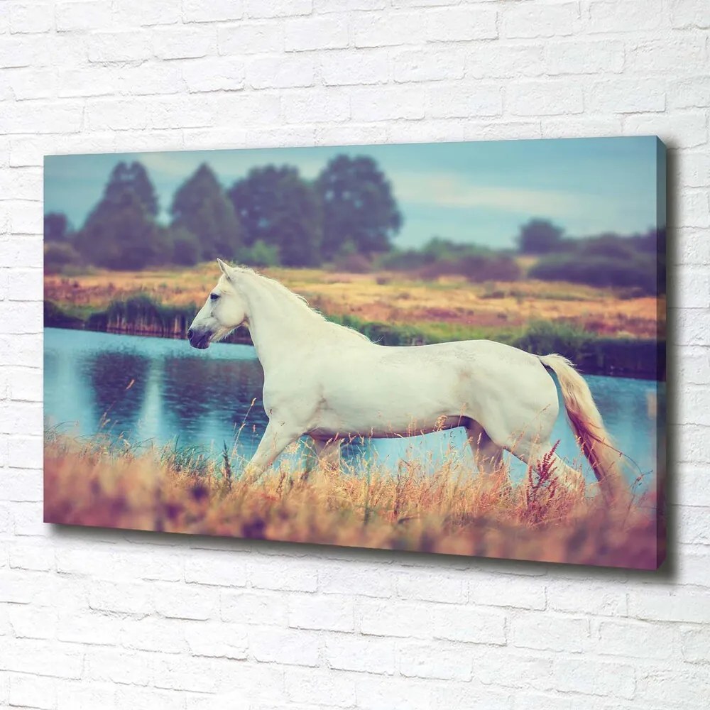 Imprimare tablou canvas White lake horse