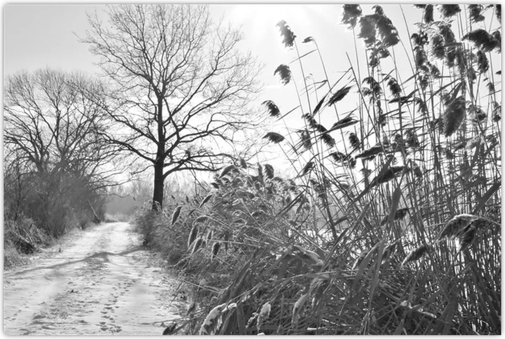 Tablou - Câmpuri în timpul iernii (90x60 cm)