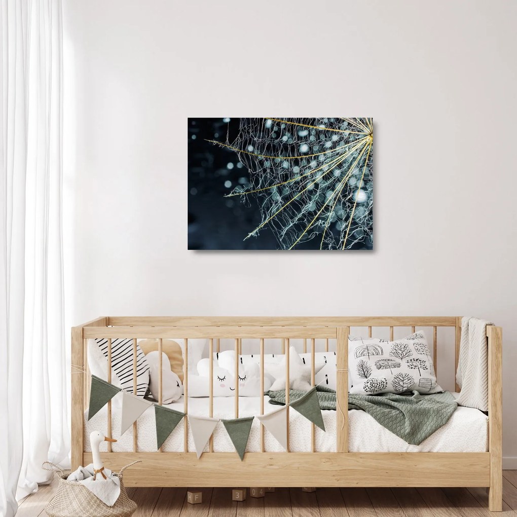 Tablou pe sticlă - Floare cu pânză de pâianjen (70x50 cm)