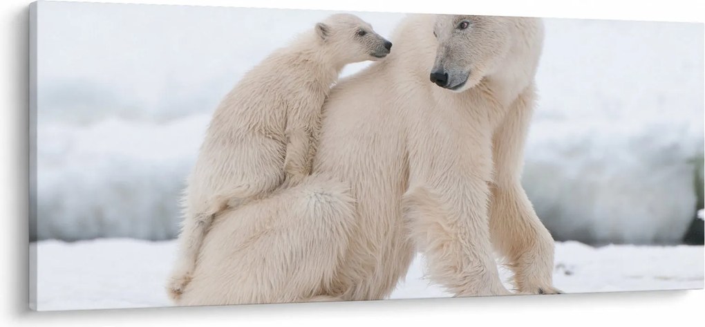 Tablou - Urs polar (120x50 cm)