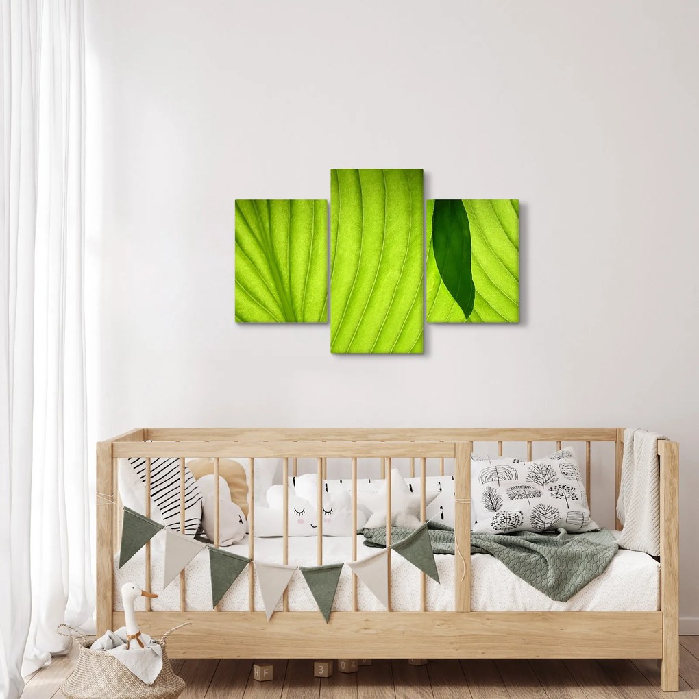 Tablou - Detaliu de frunză verde (90x60 cm)