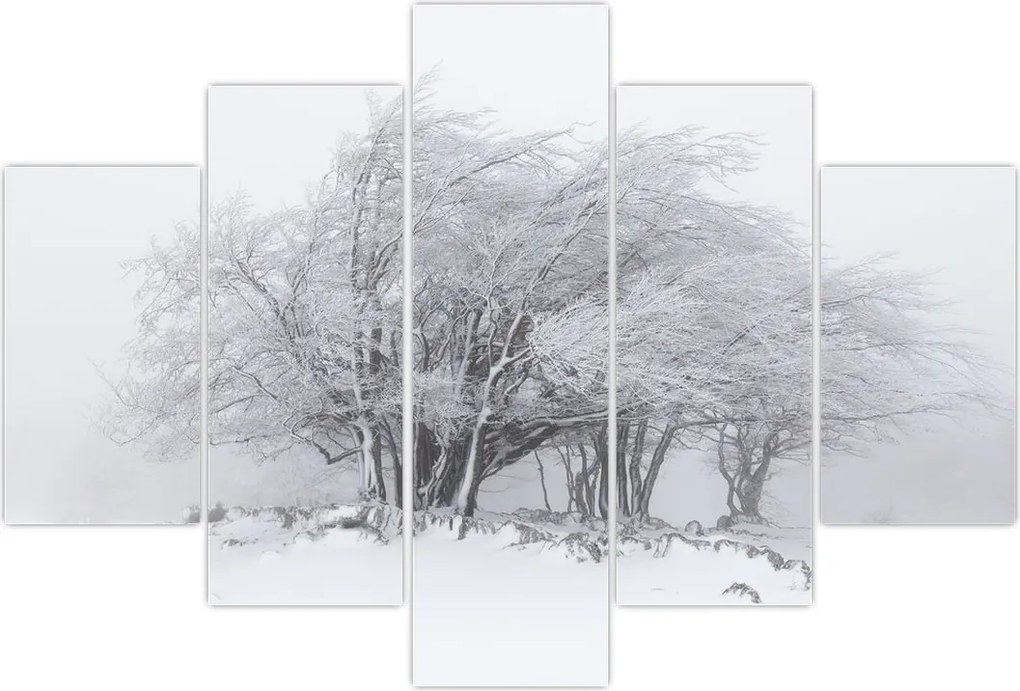 Tablou - Iarnă albă (150x105 cm)