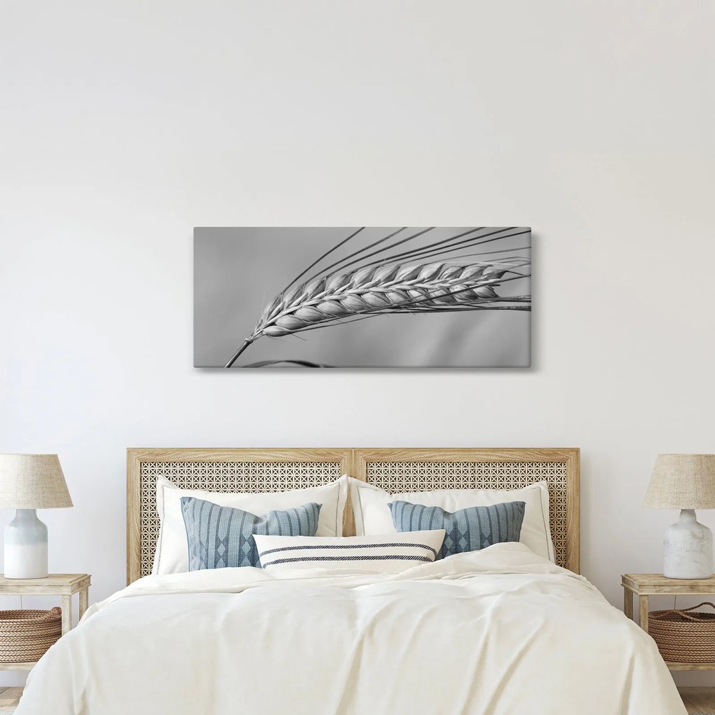 Tablou - Grâu,alb-negru (120x50 cm)