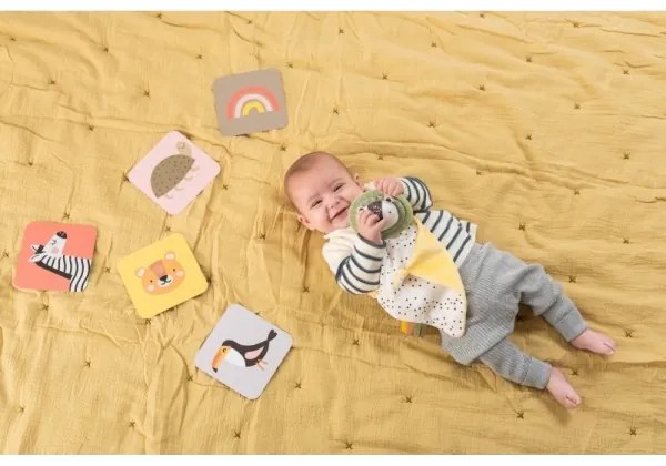 Cutie cadou HELLO BABY Taf Toys