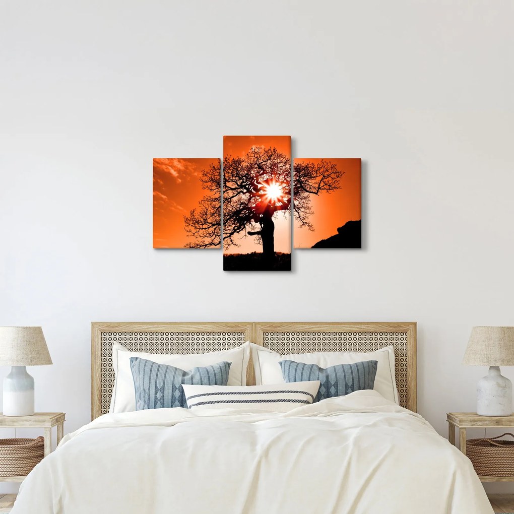 Tablou - Fag la apus de soare (90x60 cm)