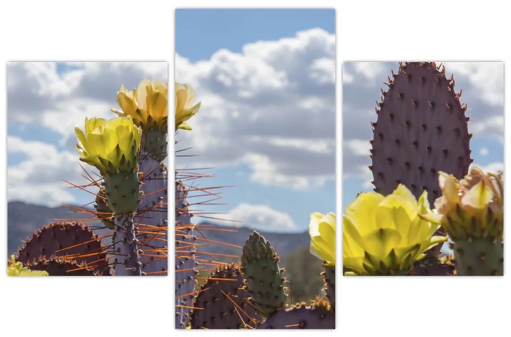 Tablou cu floarea de cactus Opunție (90x60 cm)