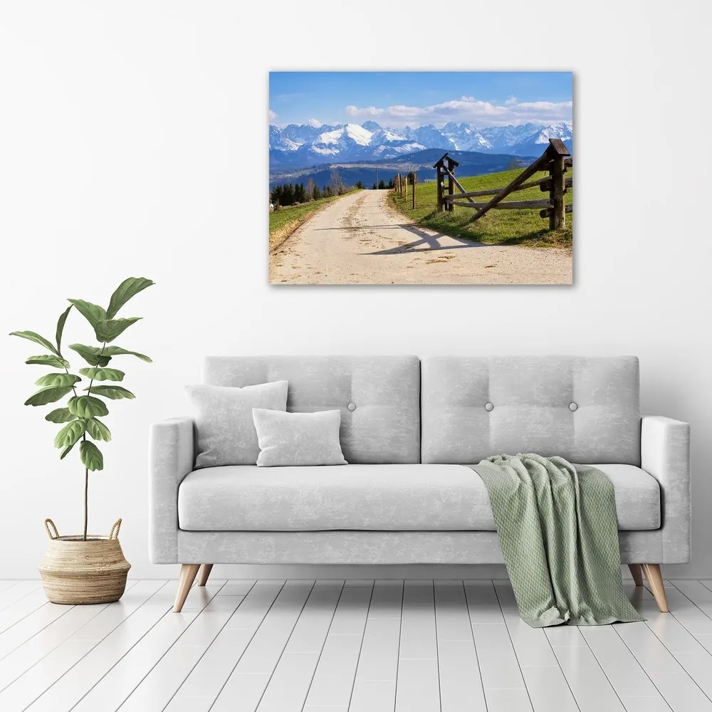 Print pe pânză Panorama tatra