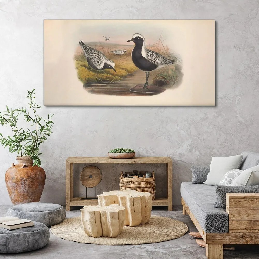 Tablou canvas Păsări Animale
