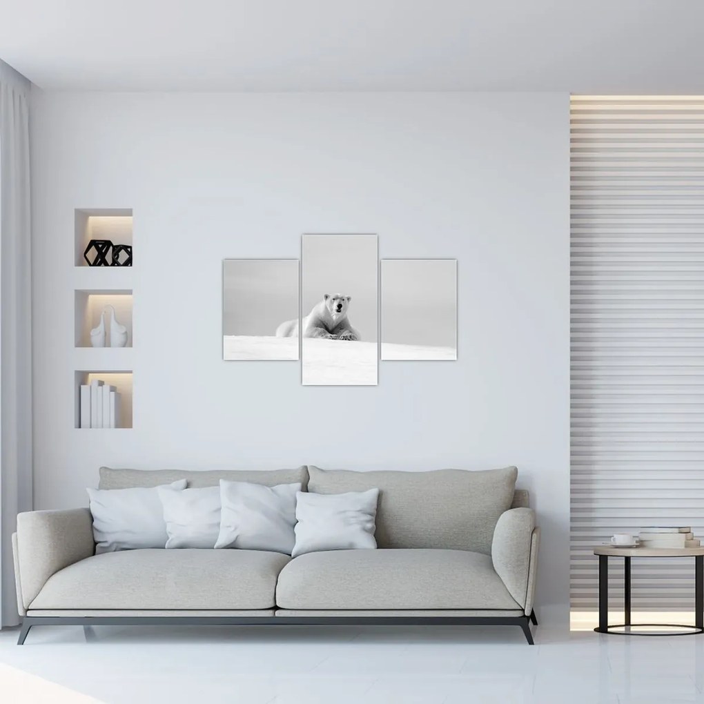 Tablou - Urs polar,alb-negru (90x60 cm)