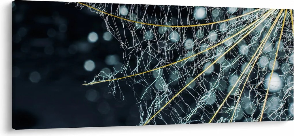 Tablou - Floare cu pânză de pâianjen (120x50 cm)