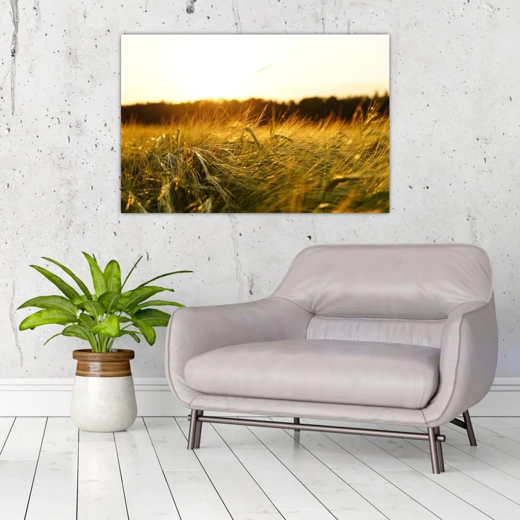 Tablou iarba cu rouă (90x60 cm)