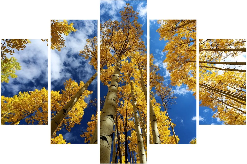 Tablou - Aspen (150x105 cm)