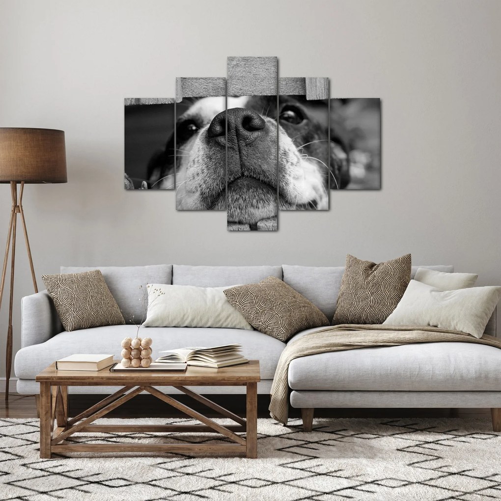 Tablou cu câine (150x105 cm)