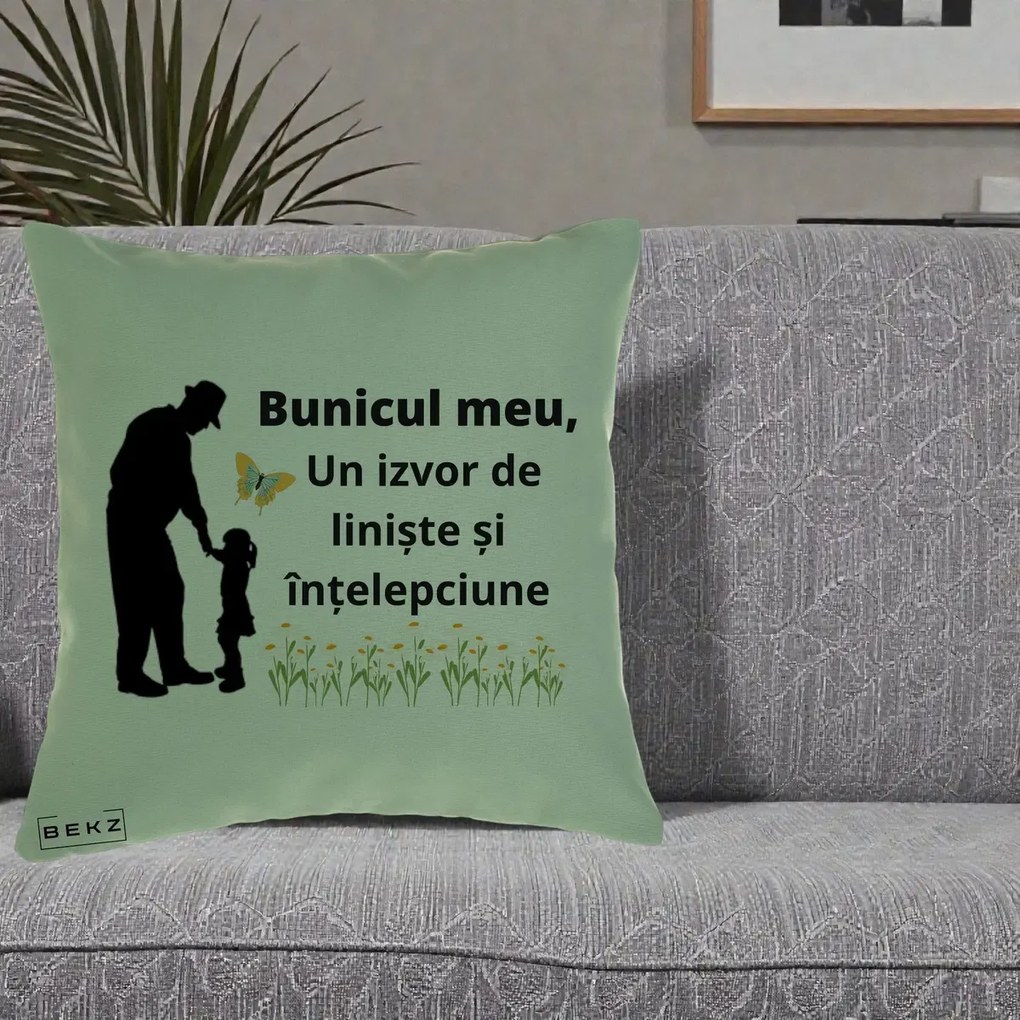 Cadou pentru Bunic - Perna Personalizata Bunicul Meu Izvor de Liniste cu Fluture si Fetita, 40x40 cm, Verde, Husa Detasabila, Perna Inclusa, BEKZ®