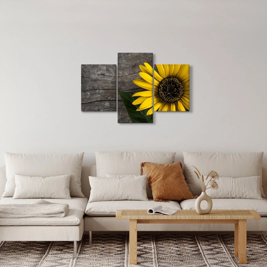 Tablou - Floare de floarea soarelui (90x60 cm)