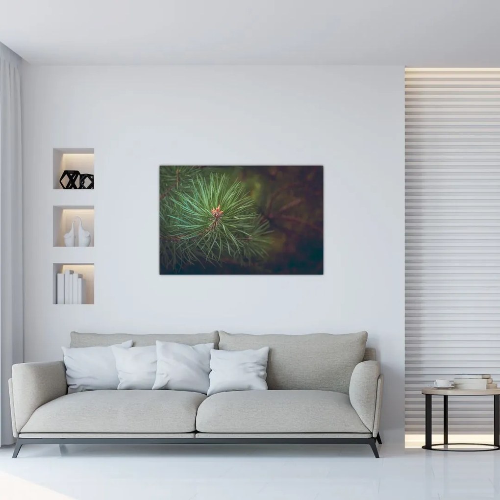 Tablou - Pin (90x60 cm)