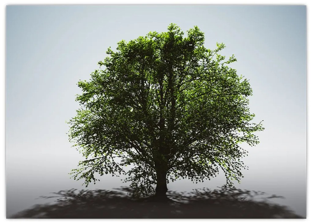 Tablou pe sticlă - Copacul singuratic (70x50 cm)