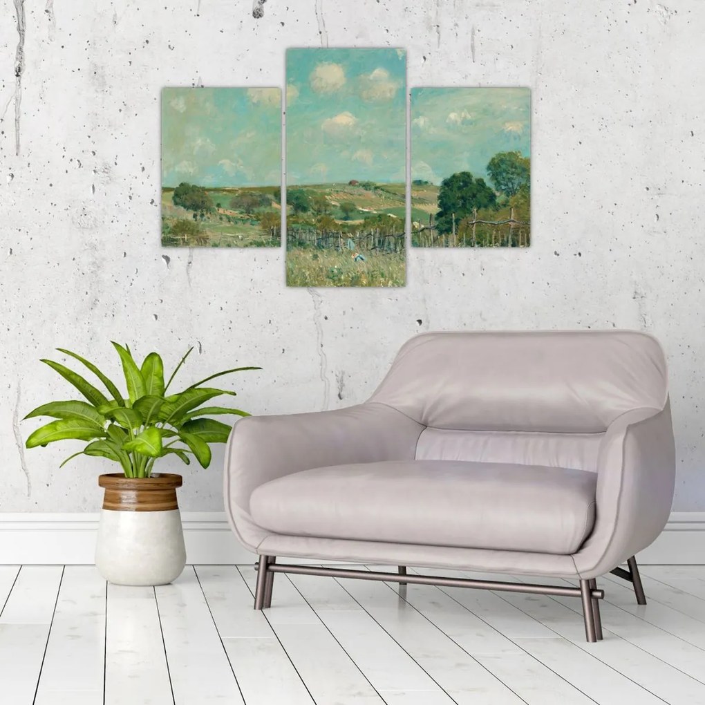 Tablou - Alfred Sisley,  Meadow, reproducere (90x60 cm)