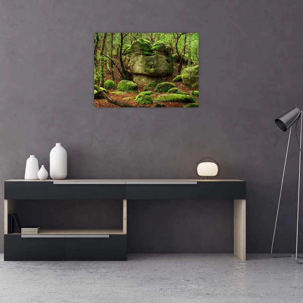 Tablou cu pădurea fermecată (70x50 cm)
