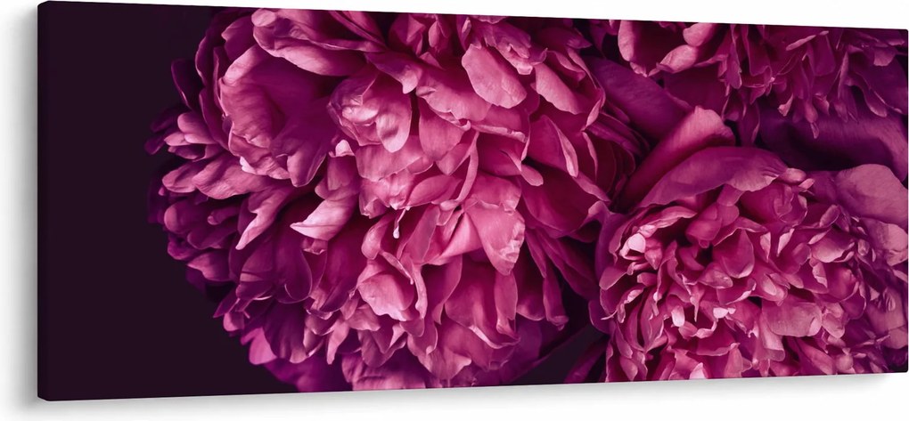 Tablou - Floarea bujorului (120x50 cm)