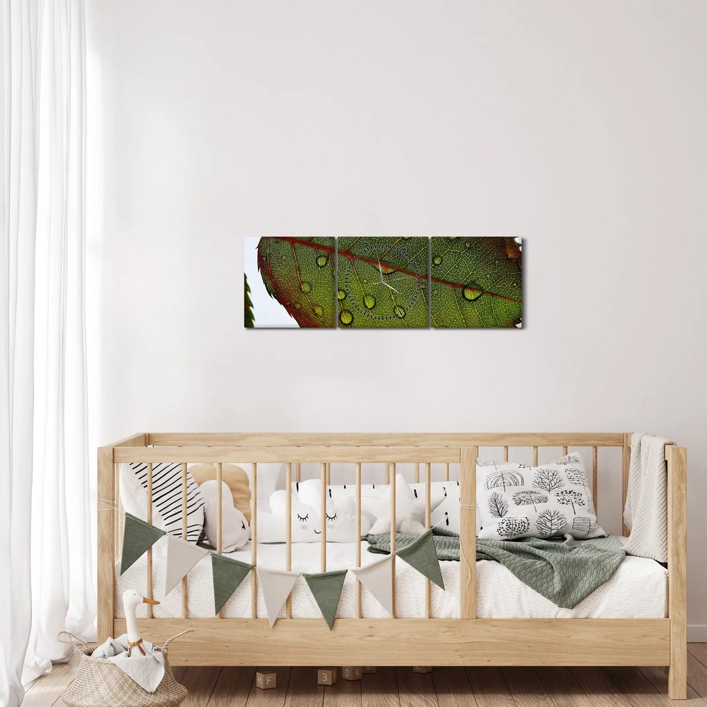 Tablou - Frunze de trandafir (cu ceas) (90x30 cm)
