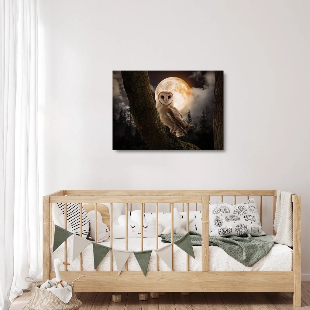 Tablou pe sticlă cu bufnița (70x50 cm)