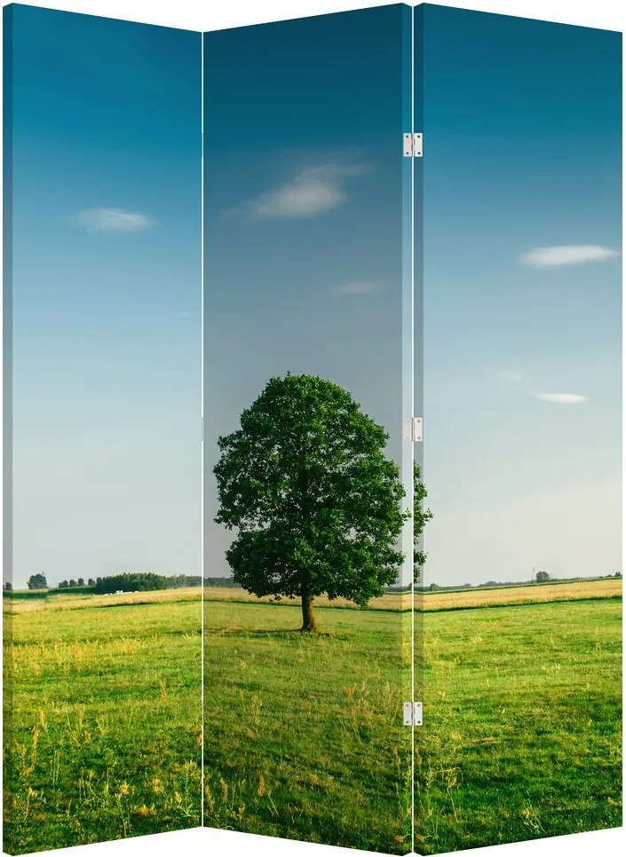 Paravan - Copaci pe luncă (126x170 cm)
