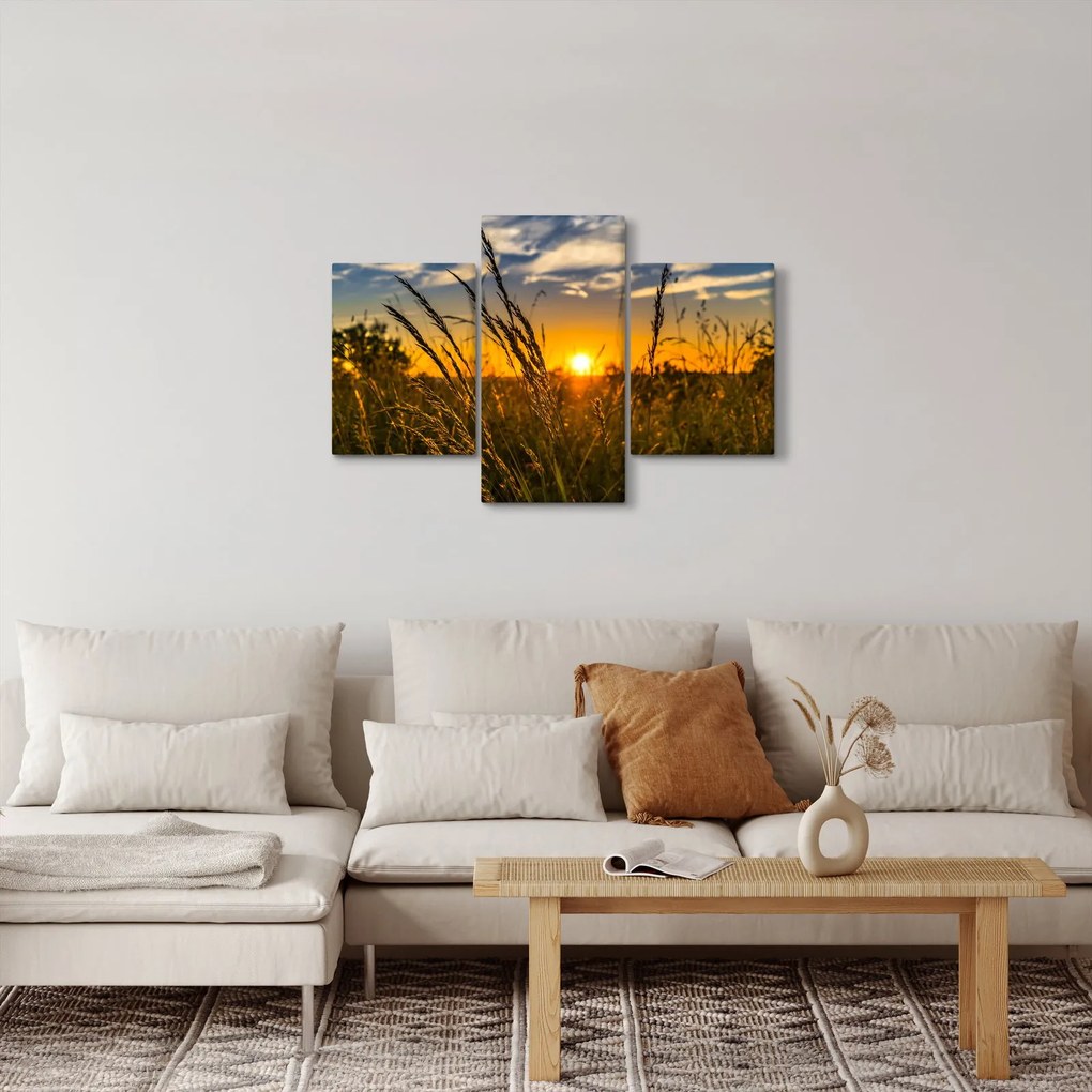 Tablou cu câmp în apus de soare (90x60 cm)