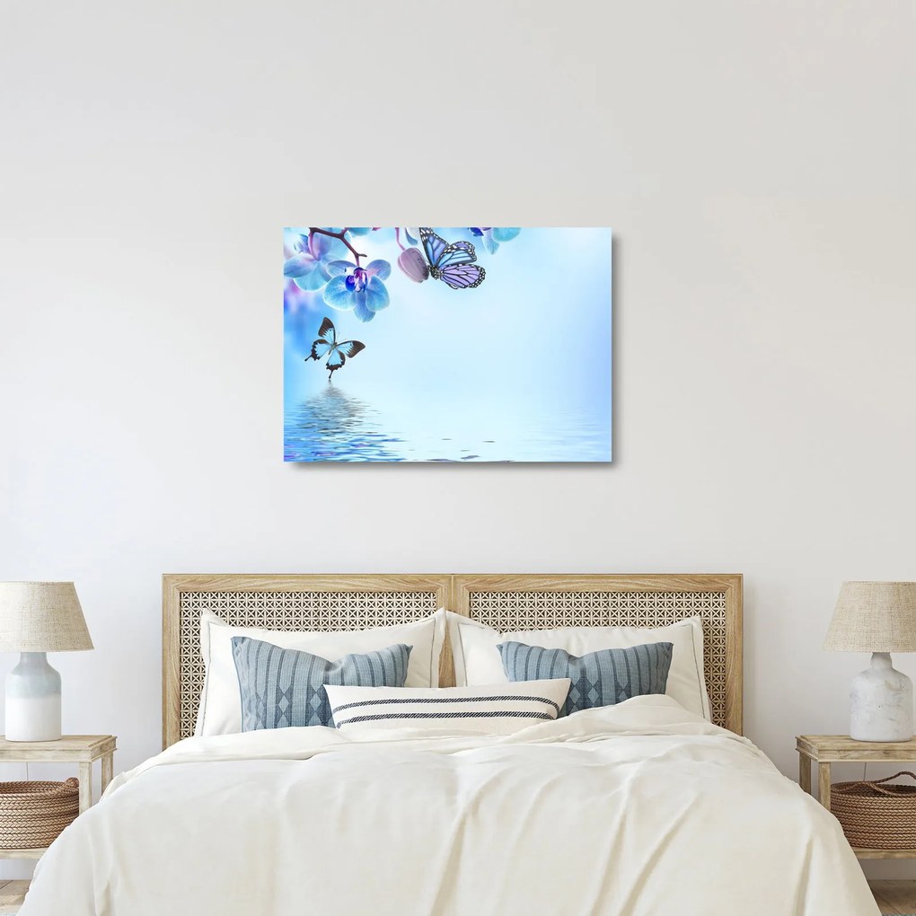 Tablou pe sticlă - Fluture pe flori de orhidee, albastru (70x50 cm)